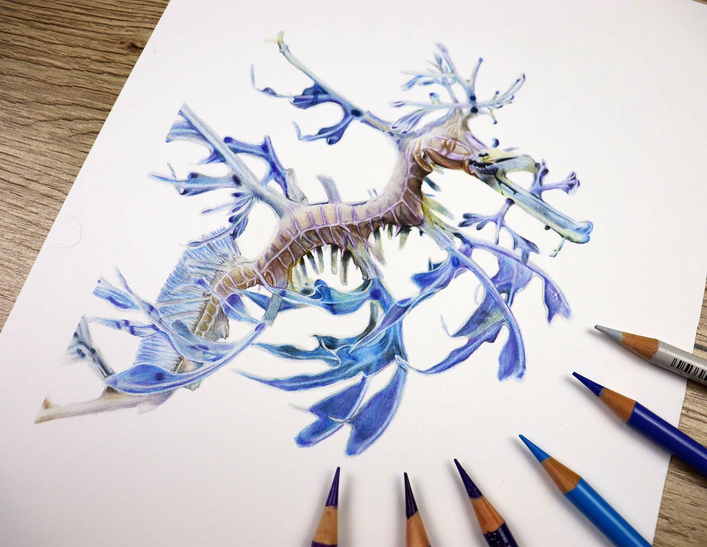 リーフィーシードラゴンオリジナルカラー鉛筆イラスト