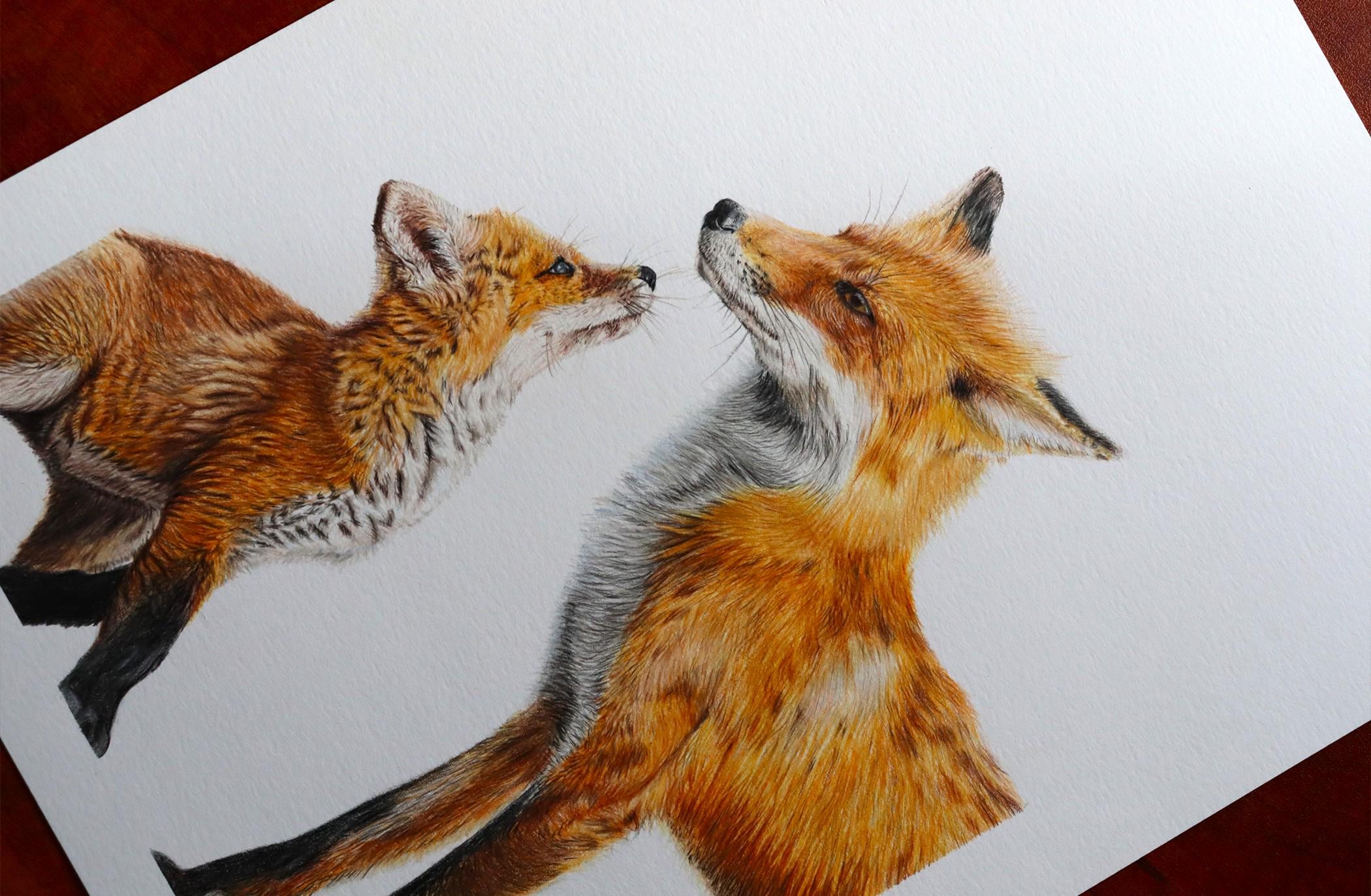 綺麗なキツネ　色鉛筆画 狐 キツネ きつね -2［手書き］原画 メイン画材 パステル 色鉛筆の通販