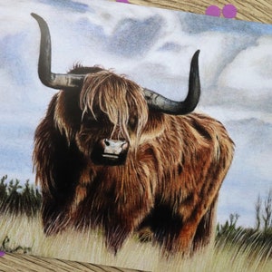 Highland Cow greeting card / hand drawn illustration / Highland Cow / birthday card