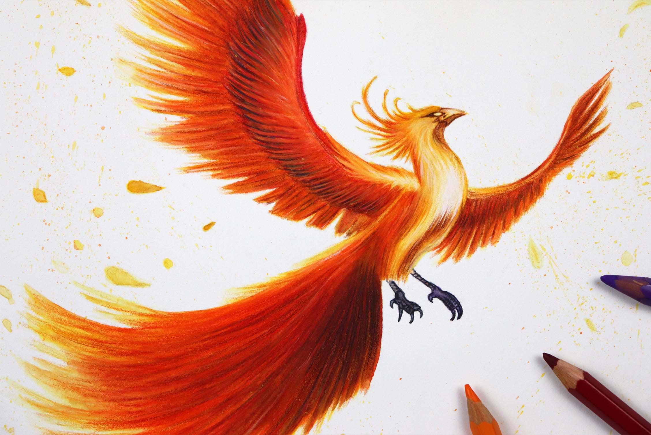 フェニックス水彩色鉛筆オリジナルイラスト / フェニックスの