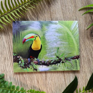 Biglietto d'auguri con tucano – Disegno a matita colorata e pastello – Interno vuoto – 118 x 140 mm – Biglietto con illustrazione di uccelli della natura e busta