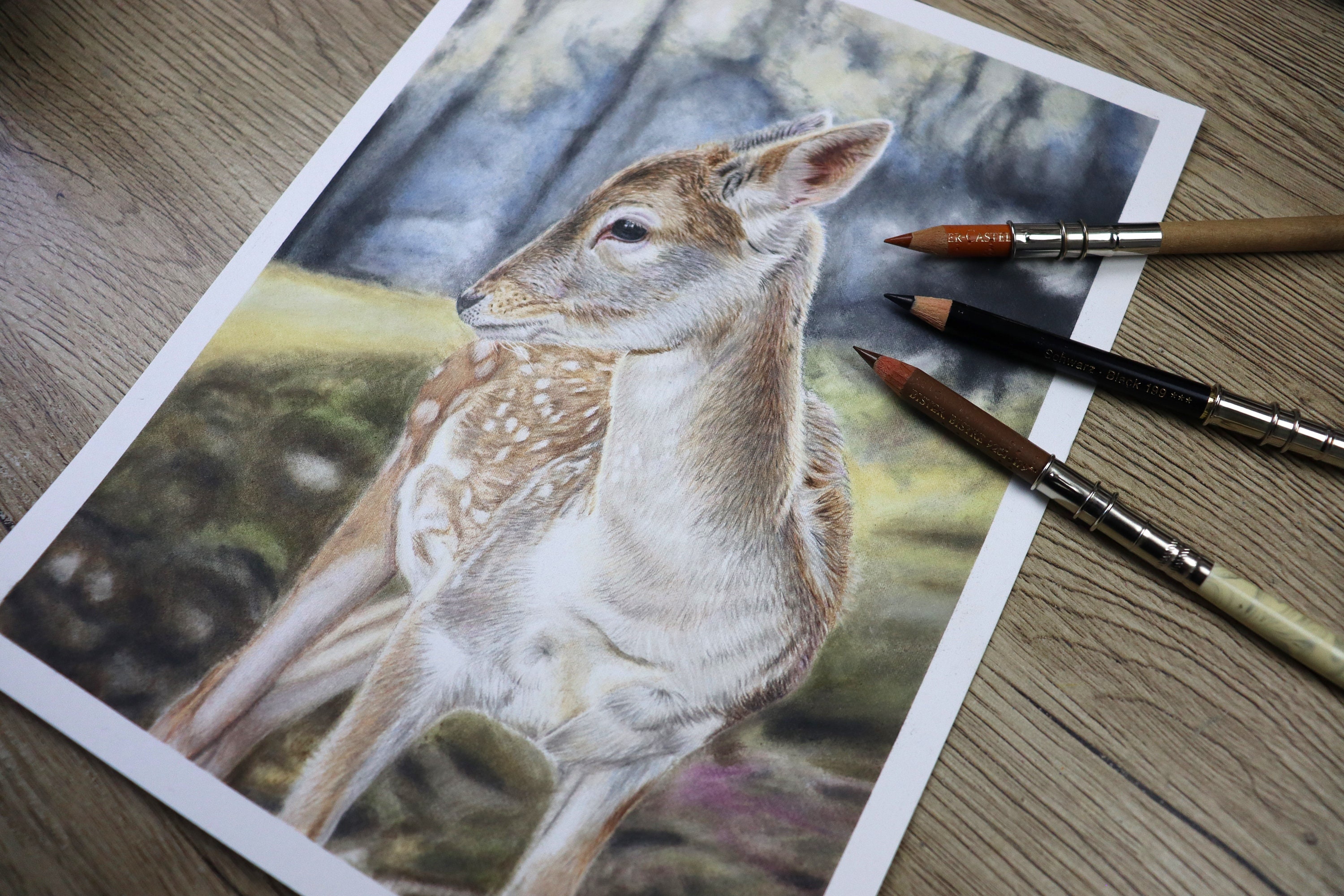 オリジナルの鹿のイラスト：色鉛筆画、野生動物アート - Etsy 日本