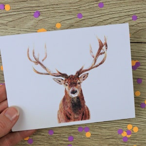 Vrijgezellenkaart / wenskaart / blanco binnenkant / hert / verjaardagskaart / kerstkaart / handgetekende illustratie