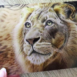 Lion greeting card / Mufasa / greeting card / lion
