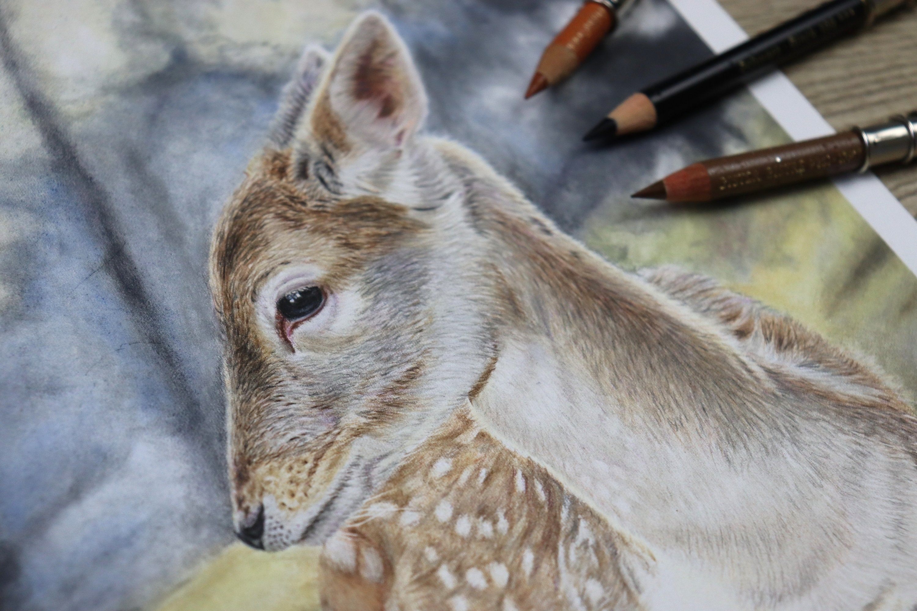 オリジナルの鹿のイラスト：色鉛筆画、野生動物アート - Etsy 日本