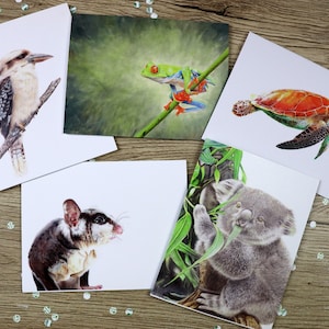 Australian card pack / Koala / Sugar Glider / Green Tree Frog / Kookaburra / Turtle greeting cards