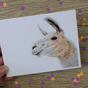 Llama card / greeting card / birthday card / blank inside / hand drawn illustration / card / alpaca / alpaca card