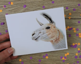 Hand Drawn Llama Greeting Card: Blank Inside