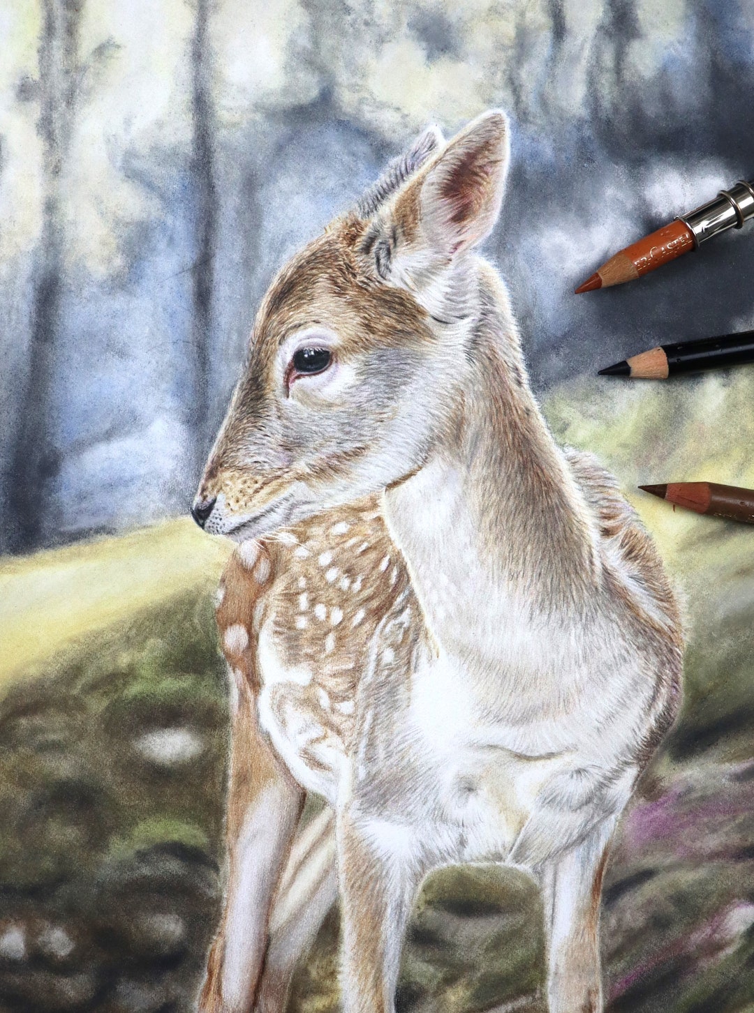 Deer Colour Pencil Original Illustration / Deer Original Artwork - Etsy