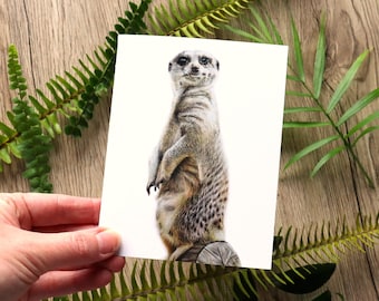 Meerkat Greeting Card: Colour Pencil Wildlife Art - Blank Inside