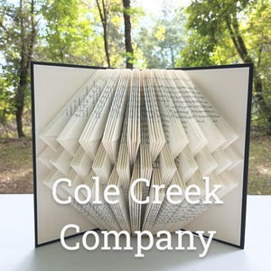 Folded Book Art / 3D Book Sculpture / Book Origami / Book Page Art / Folded Book Sculpture / Recycled Book Art / Book Sculpture / Book Art