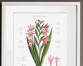 Gladiolus Family Tree Botanical Art: Personalized Genealogy Gift
