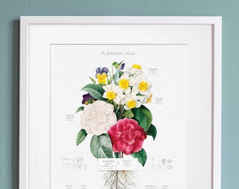 Custom Botanical Family Tree Art: Personalized Genealogy Gift (Framed)