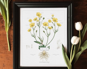 Personalized Family Tree Gift for Parents Customized Grandparent 50th wedding anniversary Present custom large Flower Framed Wall Decor