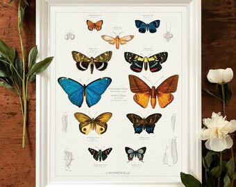 Custom Botanical Family Tree Art Print: Personalized Butterfly Family Art Framed Parents personalised present Family Tree keepsake