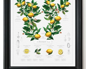 Personalized Lemon Family Tree created from botanical art Mom Dad will love! Parents Anniversary Present Family Tree Wall Art Customized