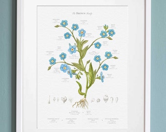 Family Tree Gift for Grandparents Parents Customized 50th Anniversary present Large Family Custom Made Wall Decor with names and dates