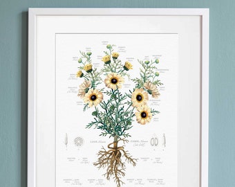 Customized Flower Family Tree framed Art 50th Anniversary Gift for Parents Personalized wall decor Grandparents Golden Celebration Keepsake