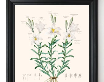 Custom Family Tree Art: Botanical Family History Gift