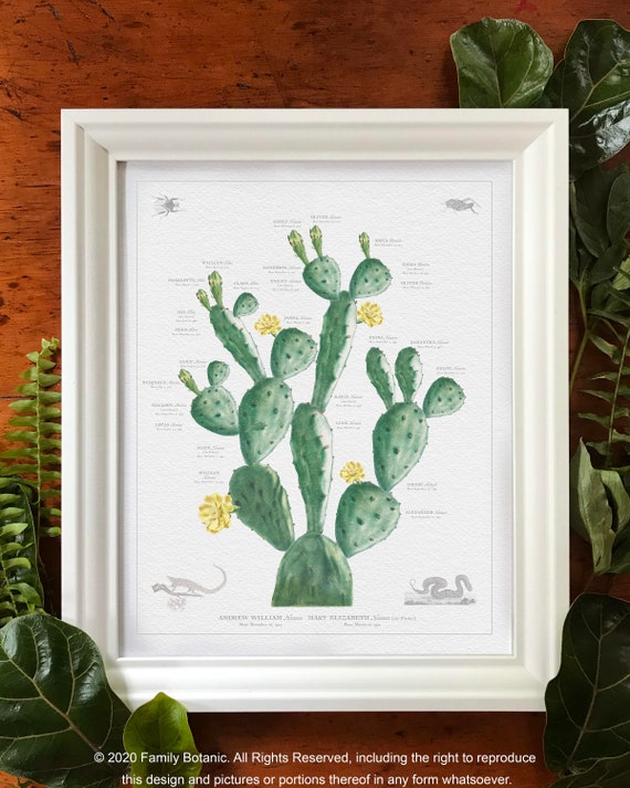 Personalized Cactus Family Tree Art: Vintage Genealogy Gift Framed  Customized Family Tree Wall Custom Family Present with names dates - Etsy  sterreich