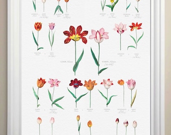 Custom Family Tree from Botanical Art Personalized Gift that Mom, Grandparents will Love Add names birthdates Genealogy gift Ships Framed