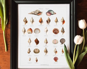 Custom Shells Family Tree Art: Framed Botanical Print, Meaningful Gift