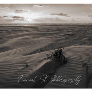 Puede incluir: Una fotografía en blanco y negro de una playa con dunas de arena y un cielo nublado. El sol brilla a través de las nubes, creando un rayo de luz. La playa está vacía, excepto por un pequeño parche de hierba que crece en la arena.