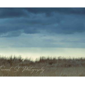 Fotografía de pastos playeros, decoración de pared, lienzo grande de naturaleza playera, arte rústico, fotografía de la costa del Pacífico, minimalismo