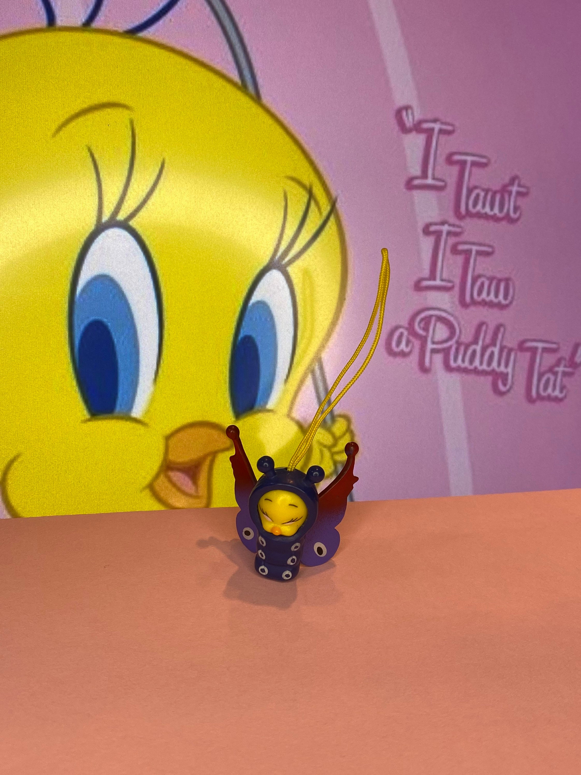 starfish pooh peek a pooh starfish pooh peek a pooh