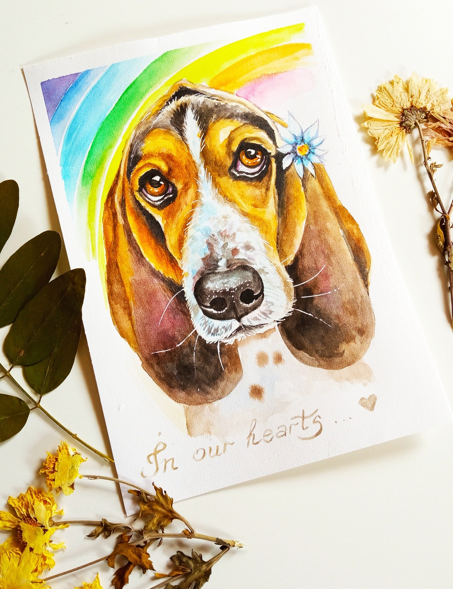 Custom watercolor pet portrait memorial portrait pet loss Etsy