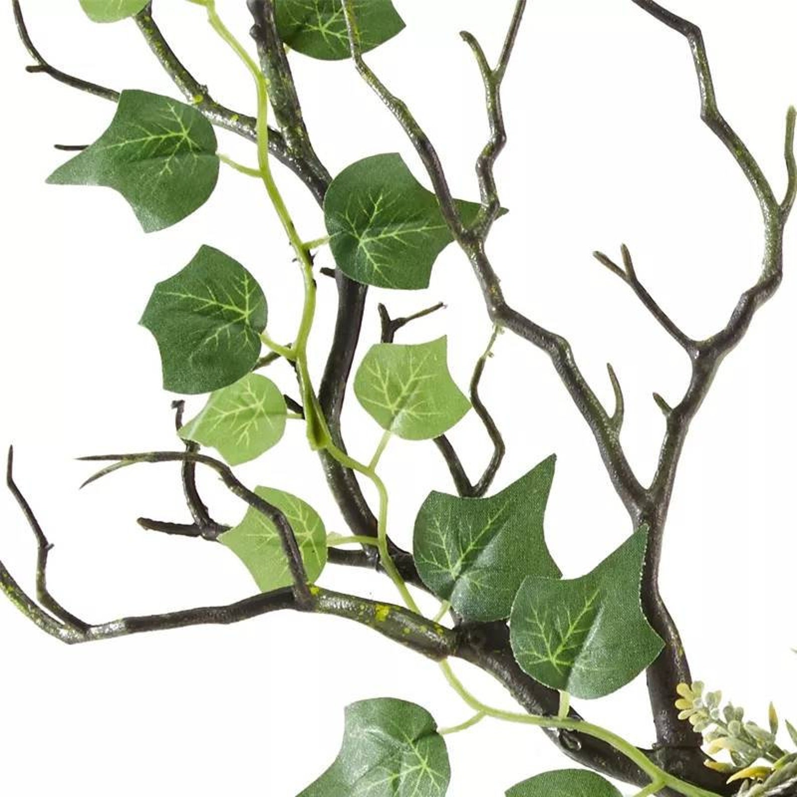 Antler Headband / Horn Antler Nymph Flower Crown Dressup Etsy