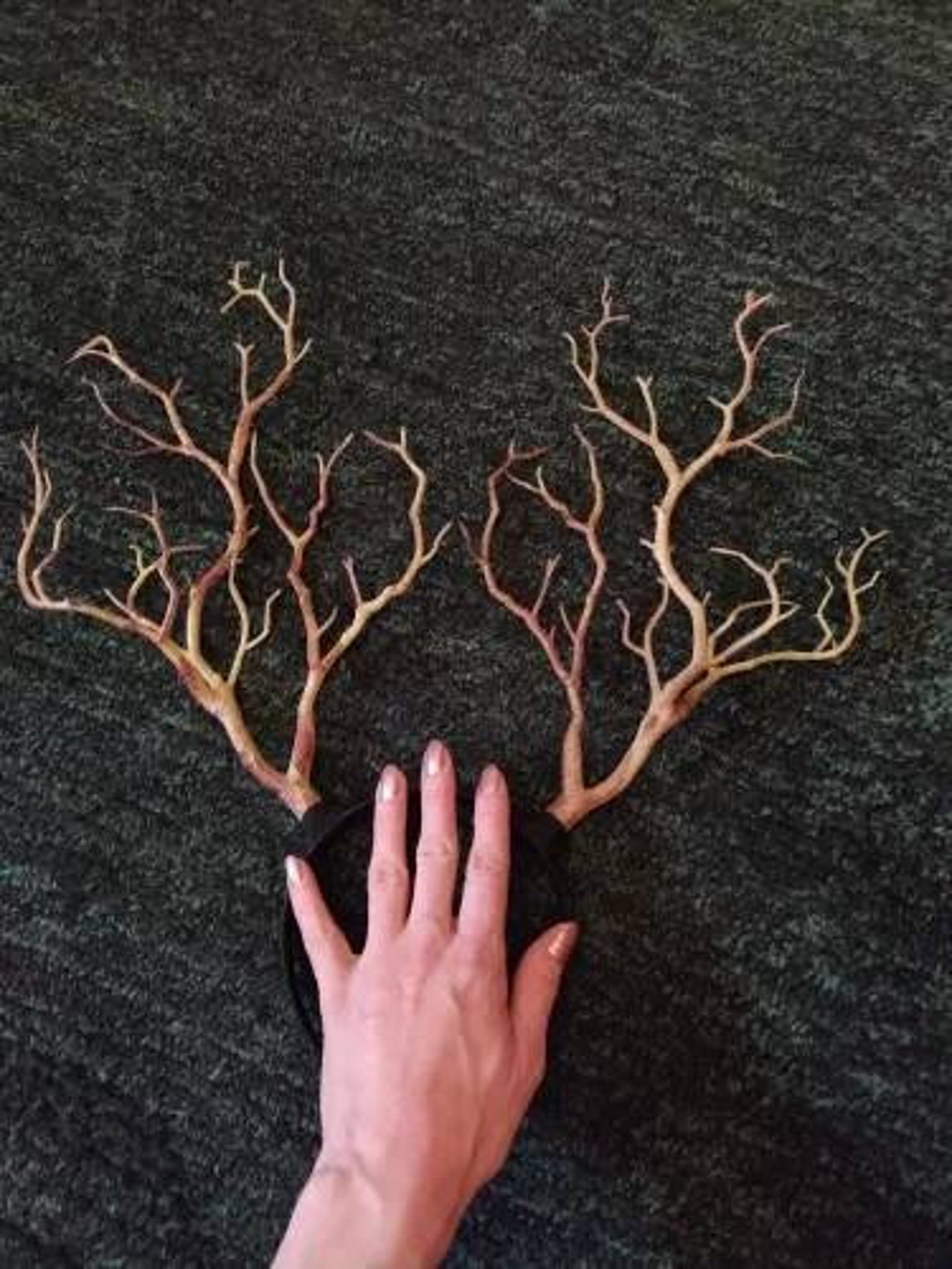 Antler Headband / Horn Antler Nymph Flower Crown Dressup Etsy