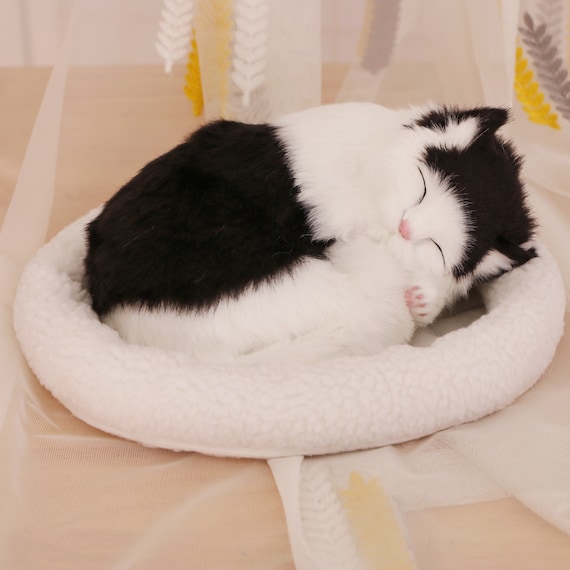 Peluche de gato realista que respira, mascota de compañía interactiva,  regalo para pacientes con demencia, ancianos, personas mayores, adultos y  niños -  México