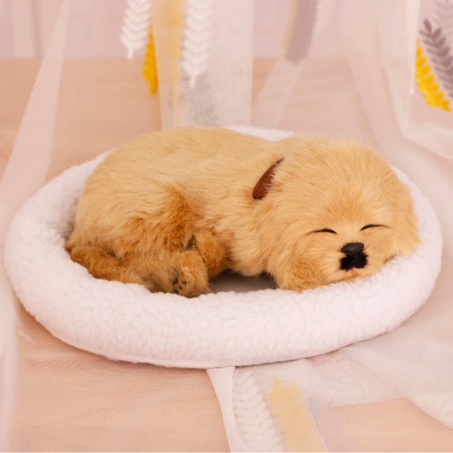 realistic lifelike puppies