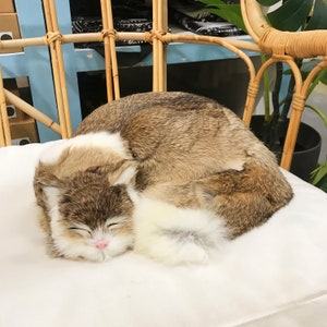 K&ouml;nnte beinhalten: Ein braunes und wei&szlig;es Pl&uuml;schkatzenspielzeug, das sich zusammengerollt auf einem wei&szlig;en Kissen schlafen legt. Die Katze hat eine rosa Nase und geschlossene Augen.