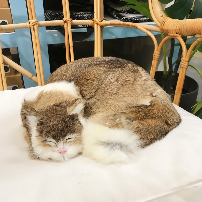 K&ouml;nnte beinhalten: Ein braunes und wei&szlig;es Pl&uuml;schkatzenspielzeug, das sich zusammengerollt auf einem wei&szlig;en Kissen schlafen legt. Die Katze hat eine rosa Nase und geschlossene Augen.
