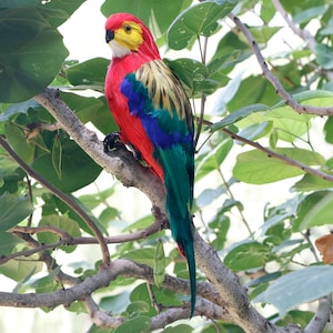 Artificial Birds Fake Birds Realistic Parrot Feathered Birds Parrot Figure Decor for Craft Jungle Garden Home Ornament Decoration