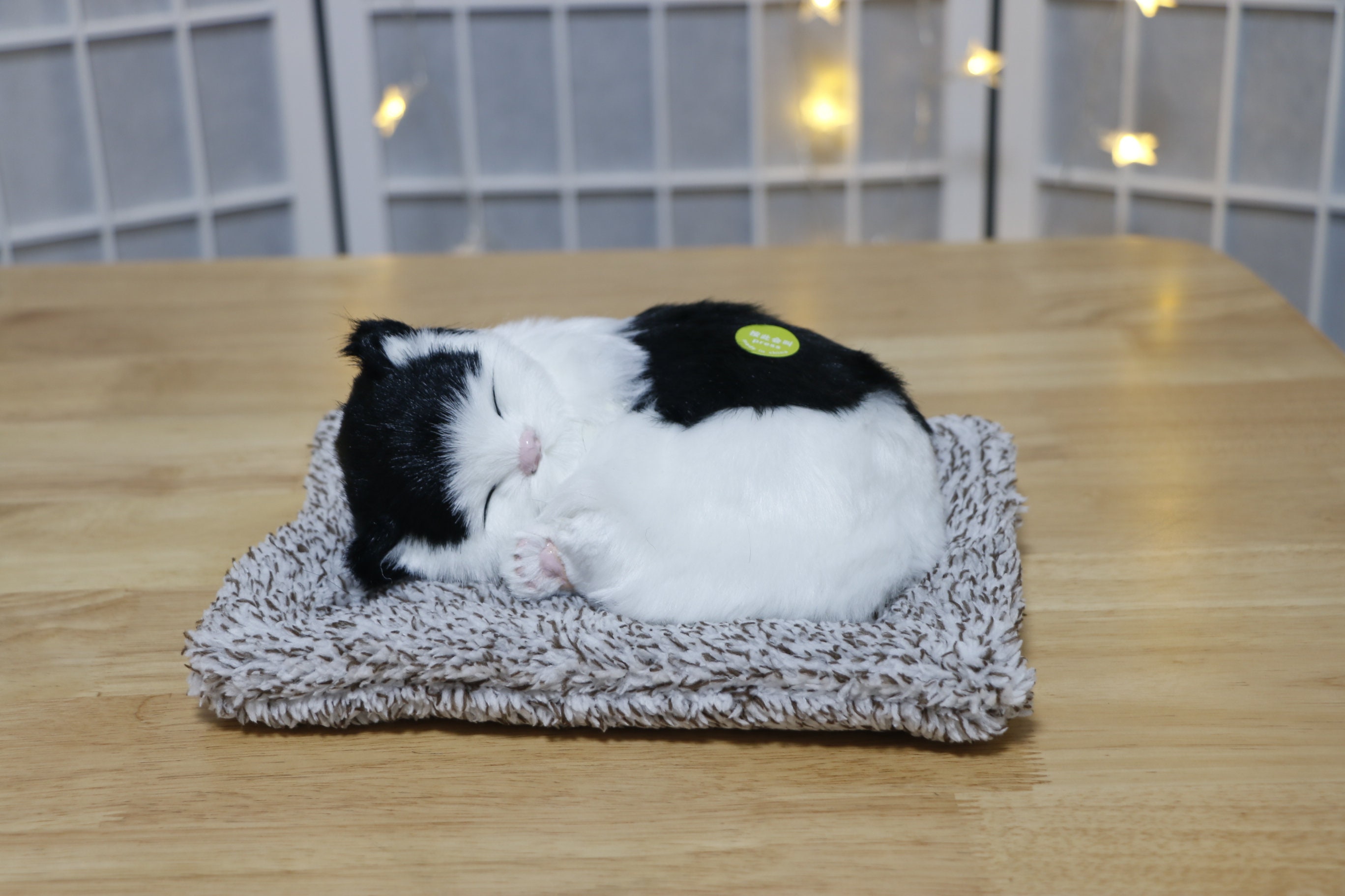 Soft Plush Sleeping Cat Realistic Simulation Lifelike Ktten Etsy
