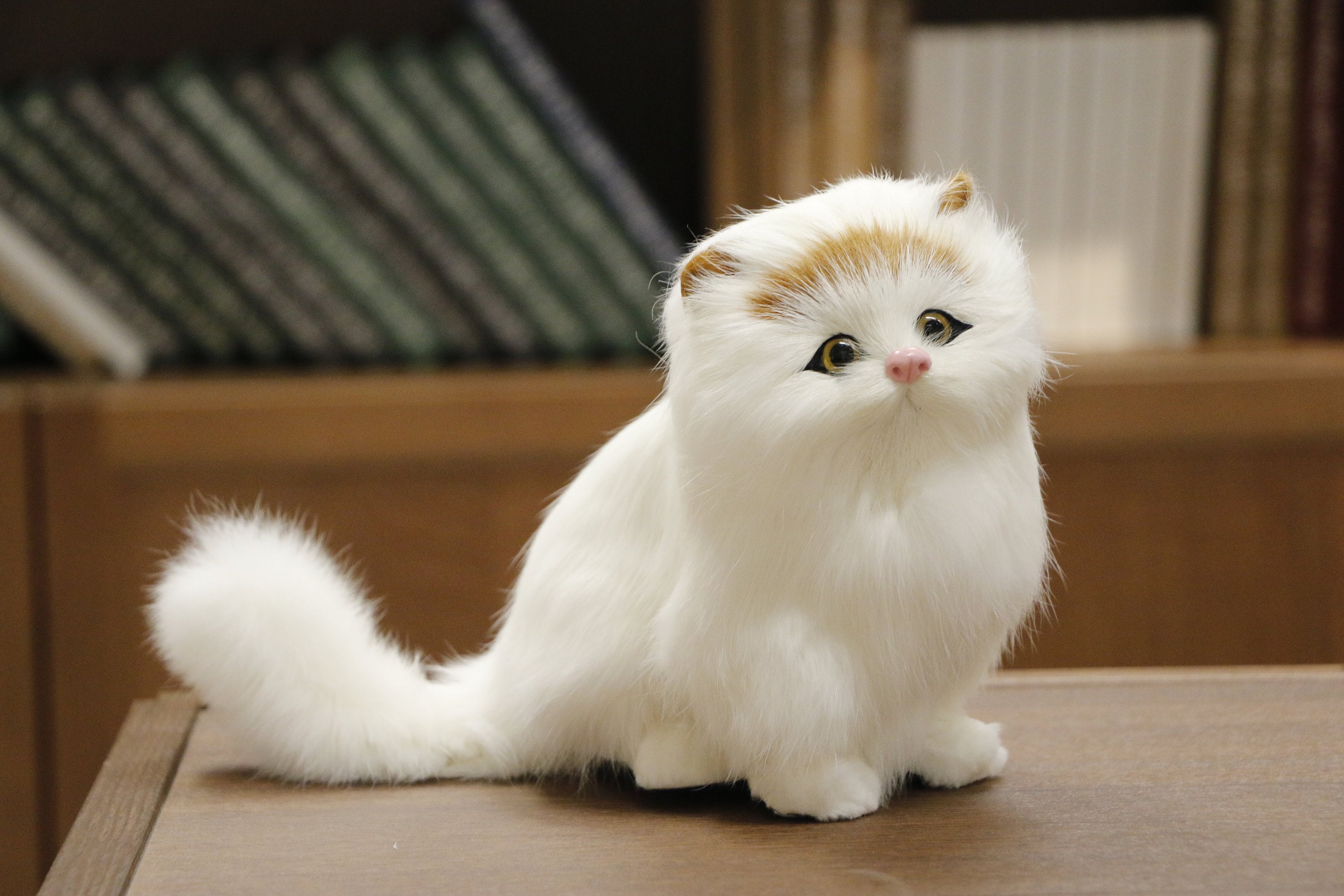 Realistic Cat Plush Furry Kitten Lifelike Animal Figurines Etsy