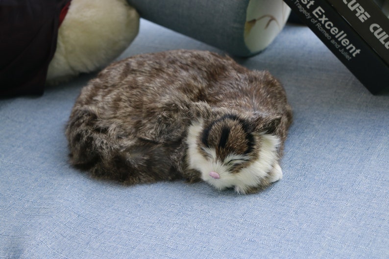 K&ouml;nnte beinhalten: Ein braunes und wei&szlig;es Stofftier in Form einer Katze, das sich zusammengerollt auf einer blauen Stoffoberfl&auml;che schlafen legt.