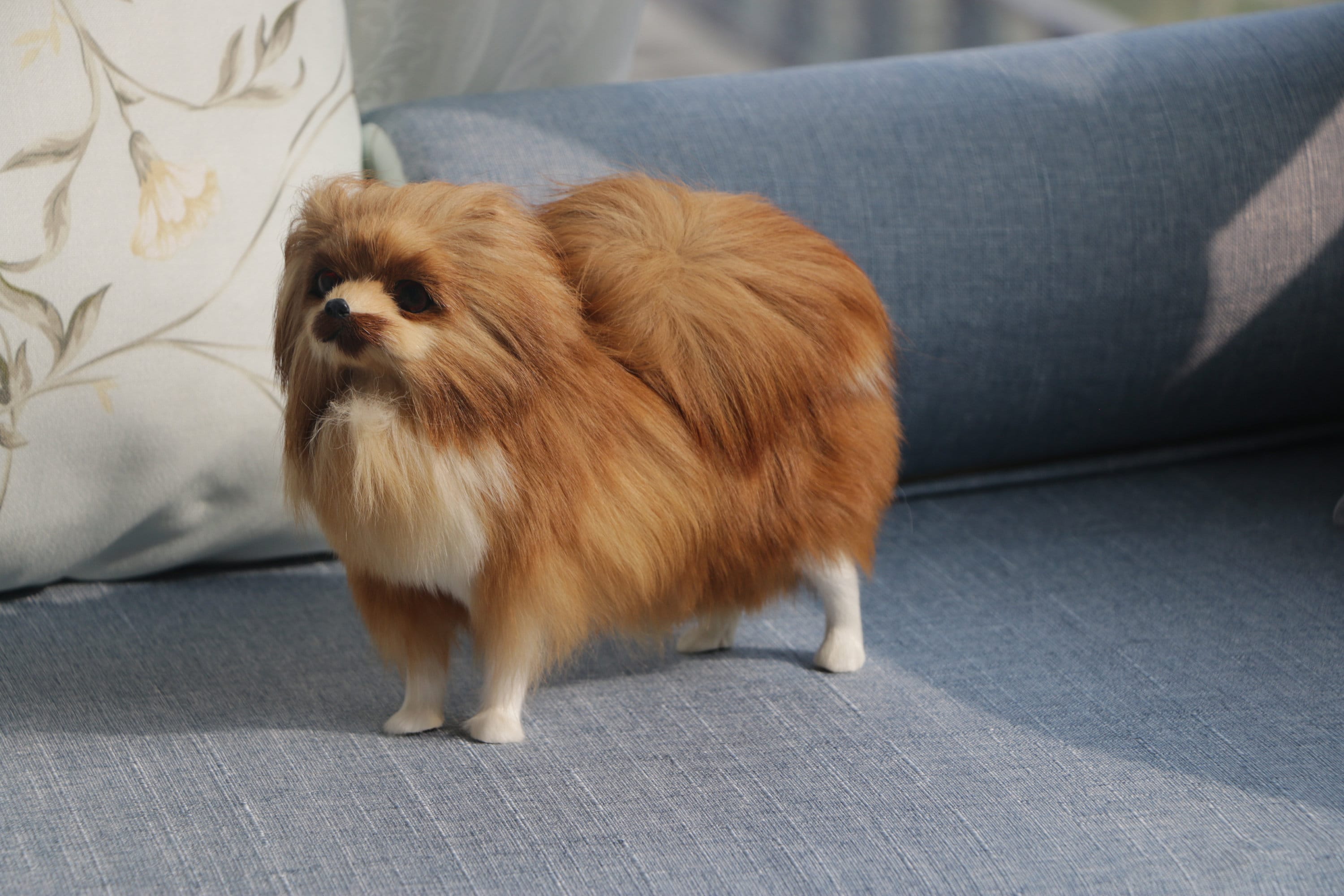 pomeranian plush