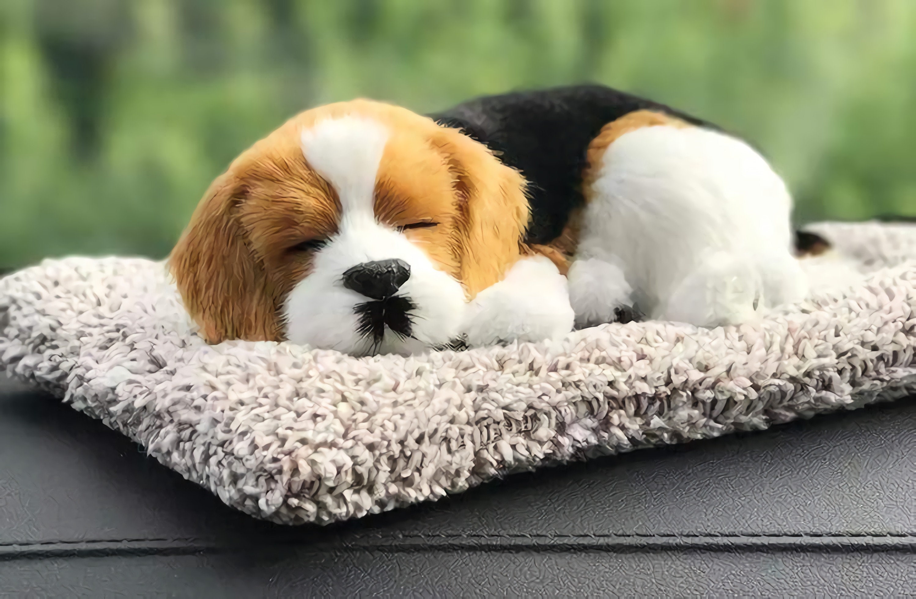 Realistischer schlafender Hund Welpen Spielzeug, Auto Dash Panda mit  Aktivkohle für Dekoration, Autozubehör - .de