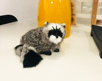 インテリア・生活道具 アライグマの毛皮 インテリア