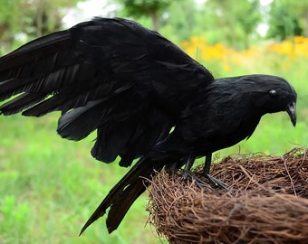 Realistic Black Feathered Crow Sculpture Figurine Statue Taxidermy Raven Cosplay Halloween Decor