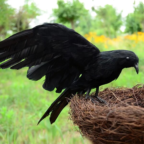 Realistische Krähe mit Federn, Skulptur Figur Statue Taxidermy Raven Cosplay Halloween Decor