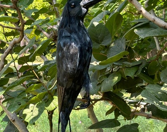 Realistic Black Feathered Crow Hanging Dead Raven Figurine Lifelike Bird Replica Prop Halloween Witches Theme Party Garden Outdoor Decor