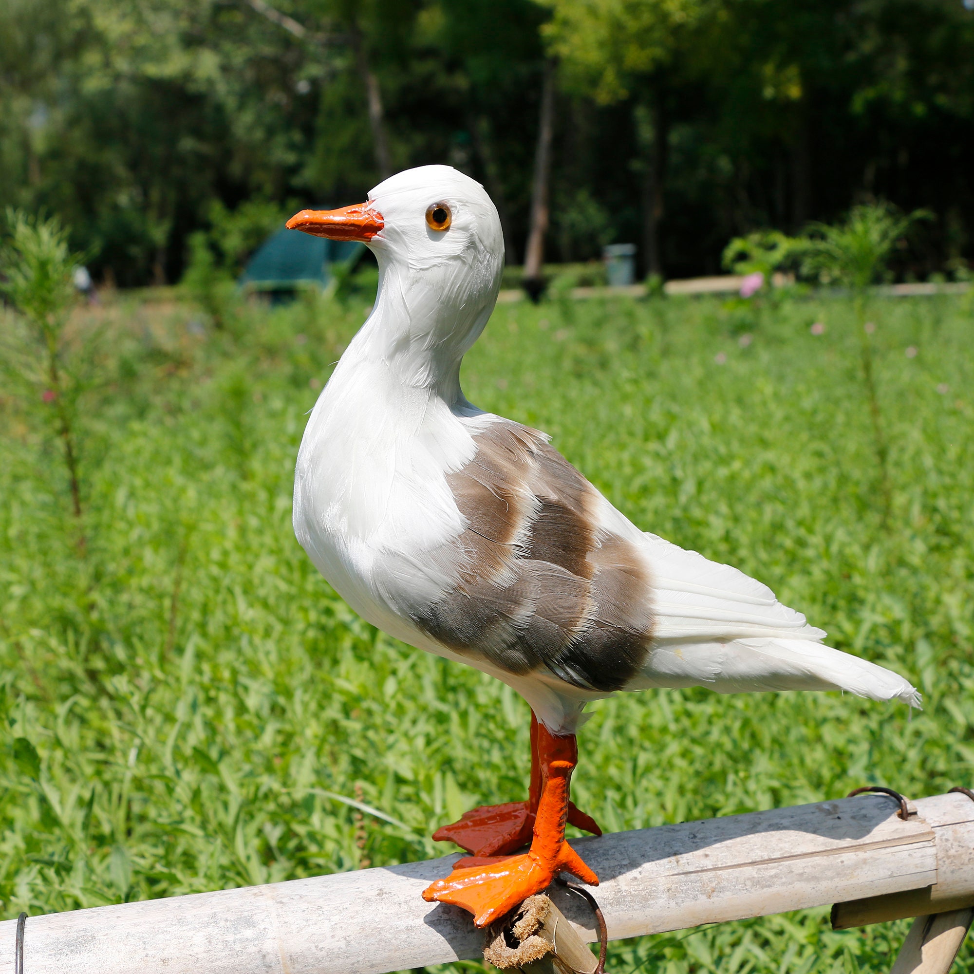 リアルなカモメの装飾品、剥製鳥、装飾用動物フィギュア、ミニチュア