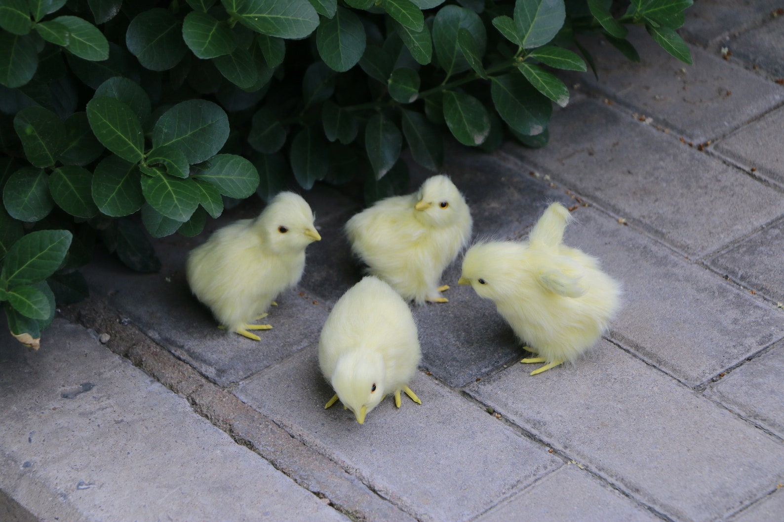 4 pcs Per Set Easter Baby Chicks Plush ToyRealistic Etsy