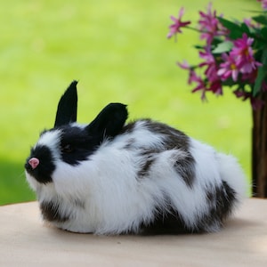 Puede incluir: Un conejo blanco y negro esponjoso con la nariz rosa sentado en una superficie de madera. El conejo está mirando hacia la izquierda de la imagen.