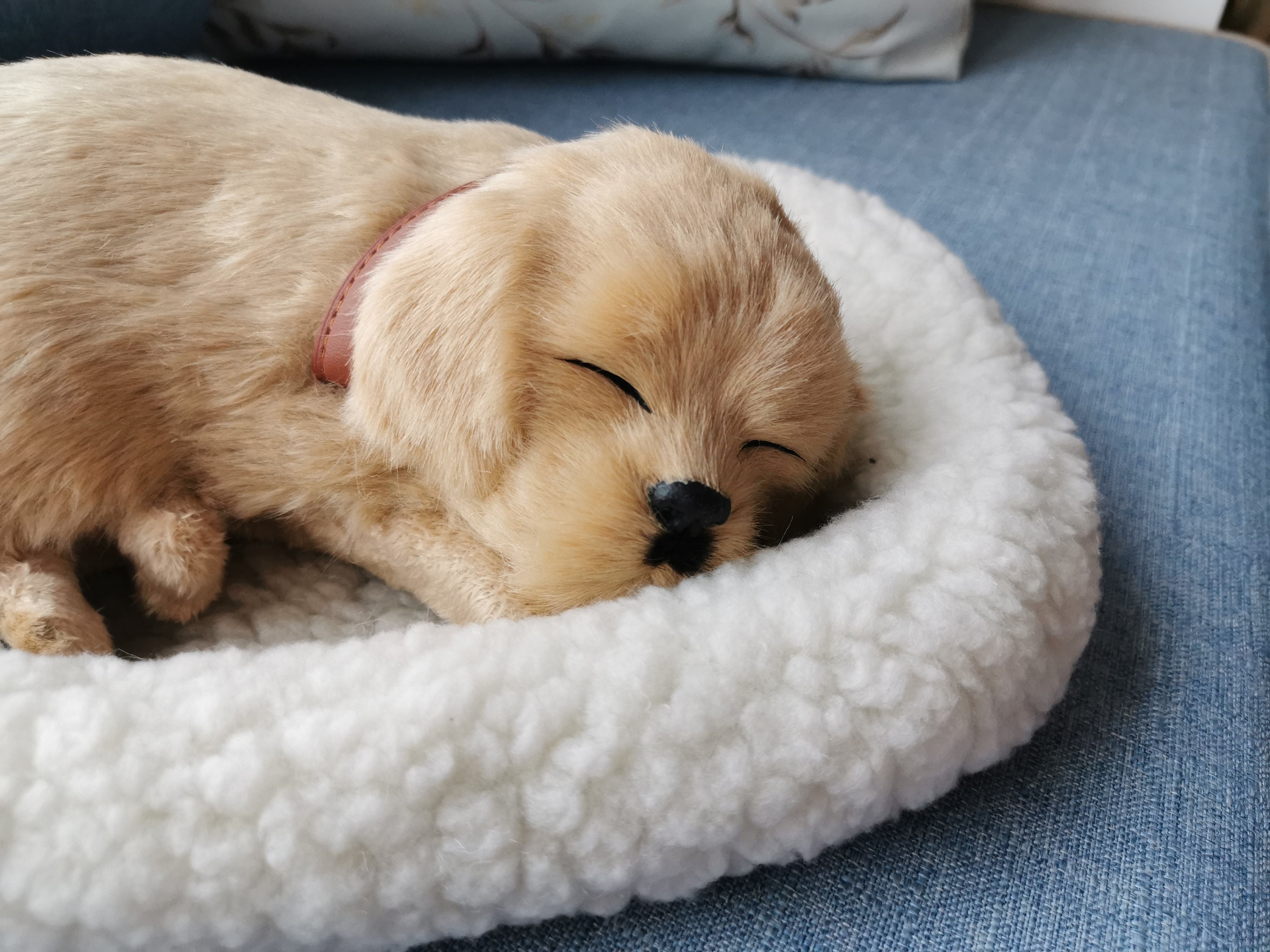 Realistic Breathing Dog Plush ToyLabradoodle Collie Lifelike Etsy